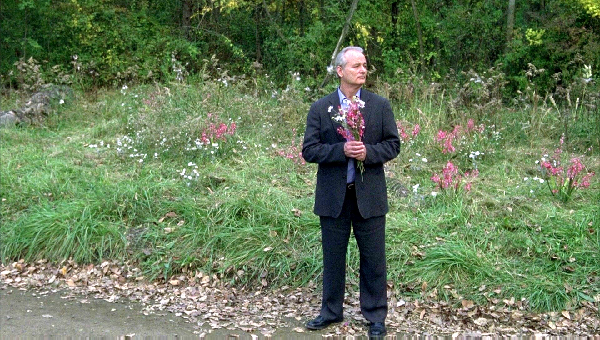 Jim Jarmusch Movie - Broken Flower