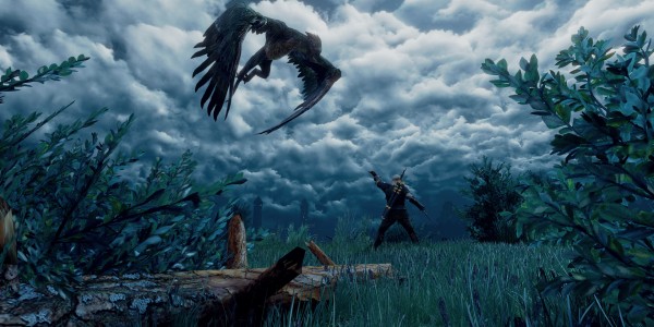 The Witcher 3 griffin